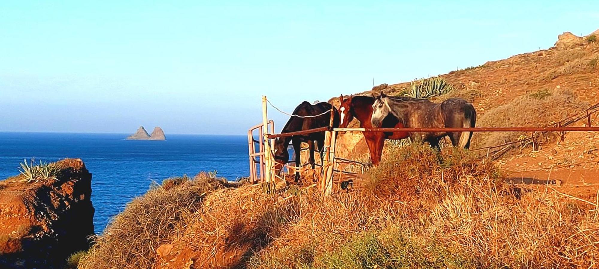 Casa Manolo Paraiso Beach Trail Almaciga Kültér fotó